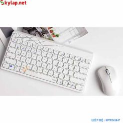 rapoo 8000 usb-wireless (màu trắng)
